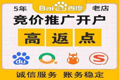 SEM搜索引擎优化：广告创意的策划与执行